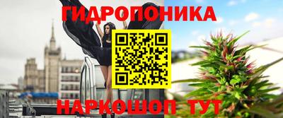 прущие крисы Анжеро-Судженск