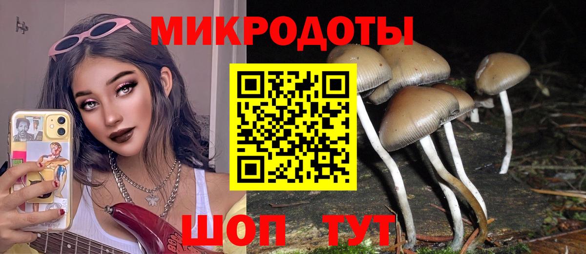Сафоново  Псилоцибиновые грибы Psilocybine cubensis  Галлюциногенные грибы Cubensis  Вход с VPN 